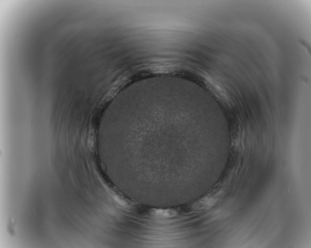 X0000095920277200801181424