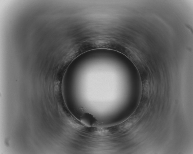 X0000095920278200801181424