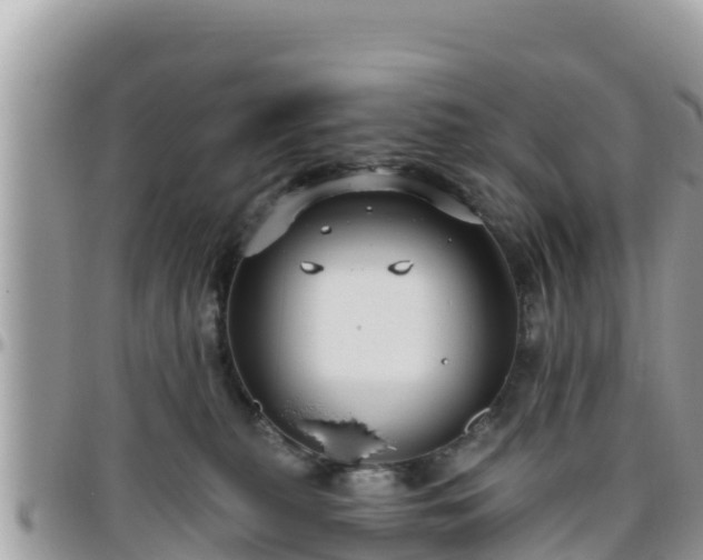 X0000095920279200801181424