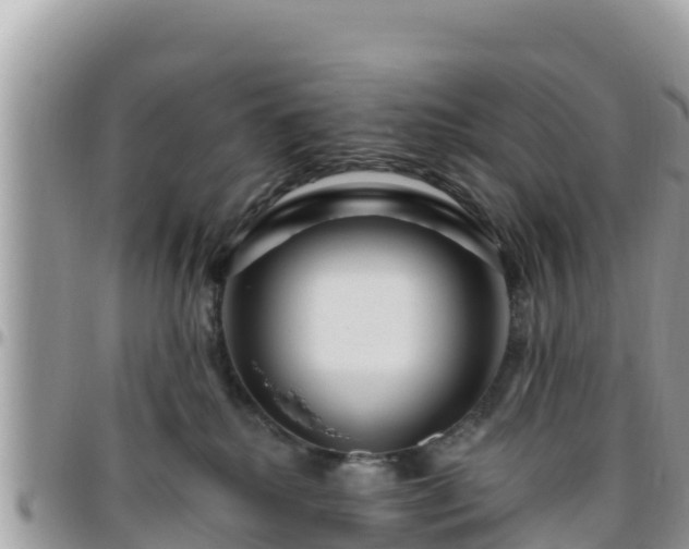 X0000095920280200801181424