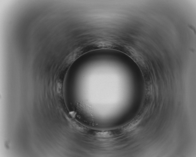 X0000095920281200801181424