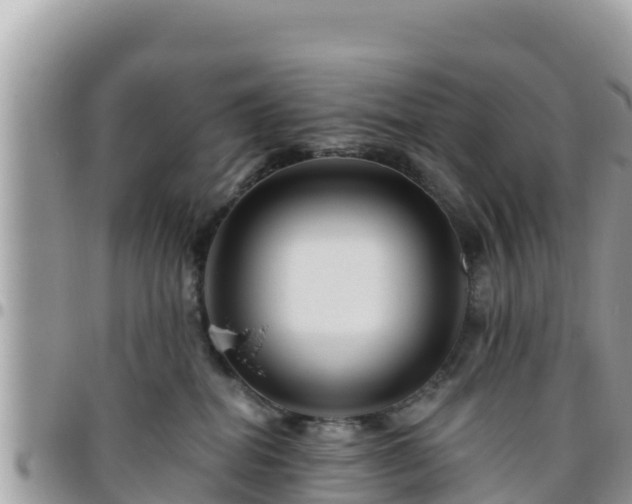 X0000095920282200801181424