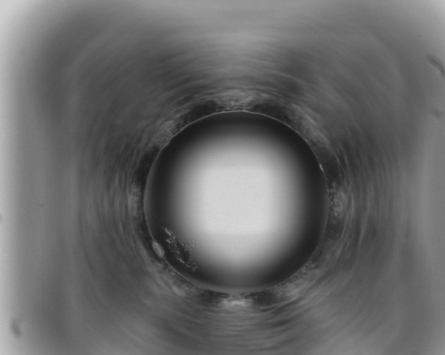 X0000095920283200801181424