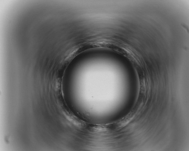 X0000095920284200801181424