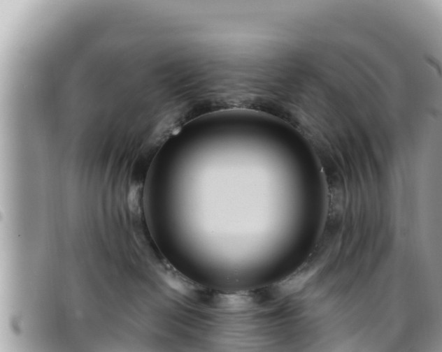 X0000095920286200801181424