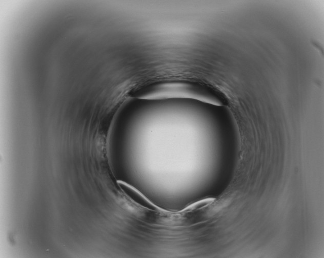 X0000095920288200801181424