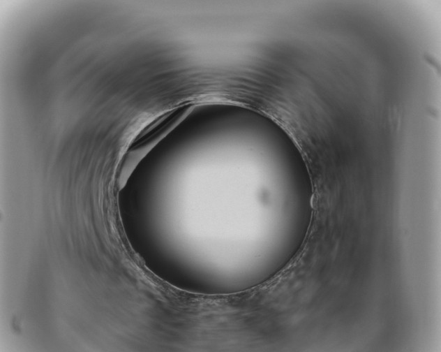 X0000095920289200801181424