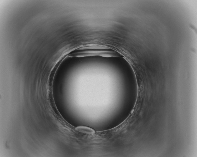 X0000095920290200801181424