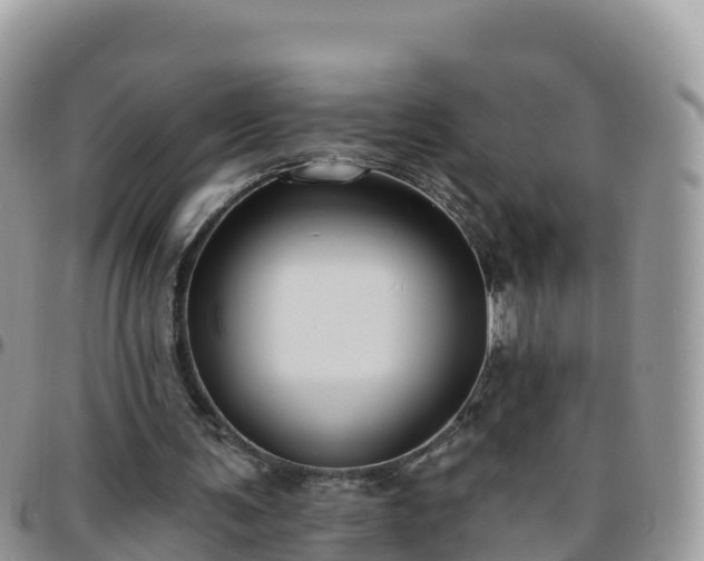 X0000095920291200801181424