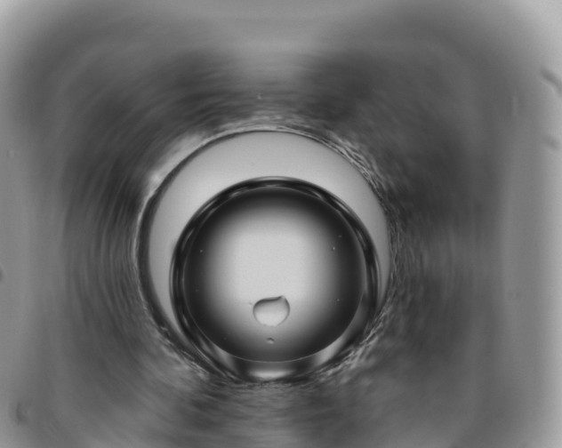 X0000095920292200801181424