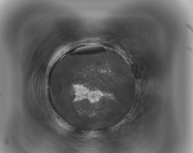 X0000095920293200801181423