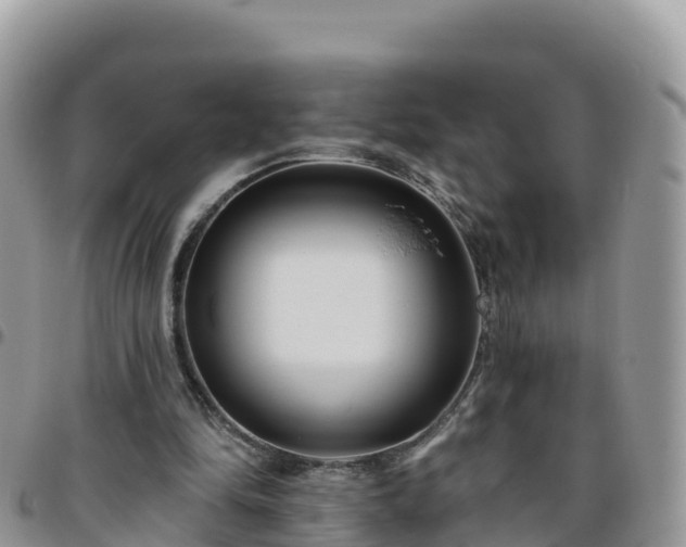 X0000095920294200801181423