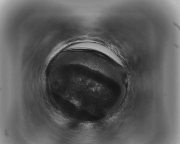 X0000095920295200801181423