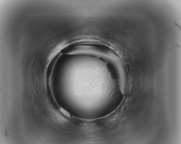 X0000095920296200801181423