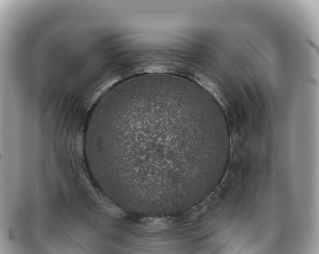 X0000095920297200801181423