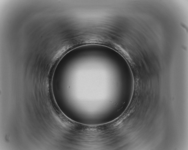 X0000095920298200801181423