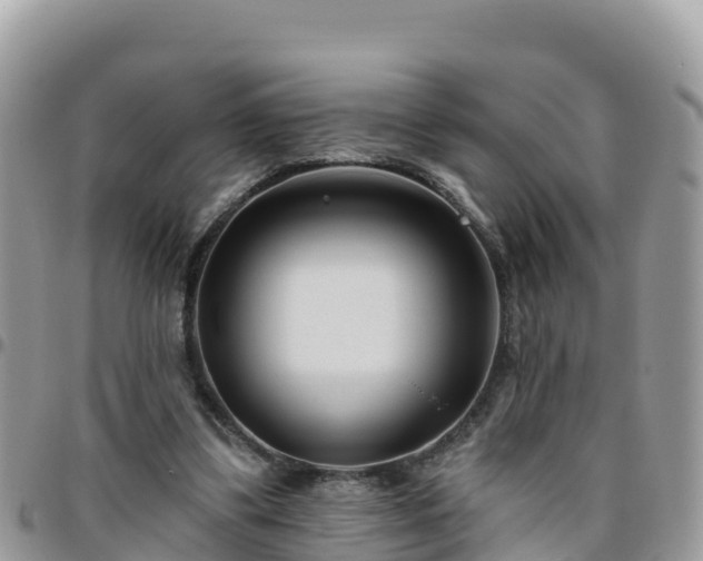 X0000095920299200801181423