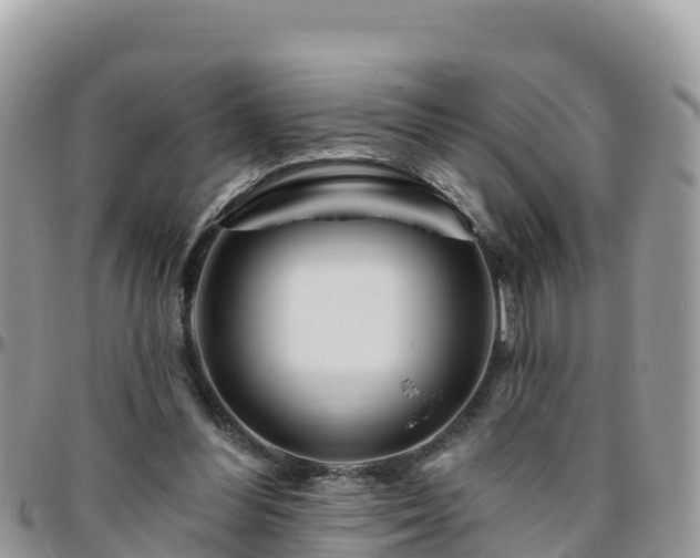 X0000095920300200801181423