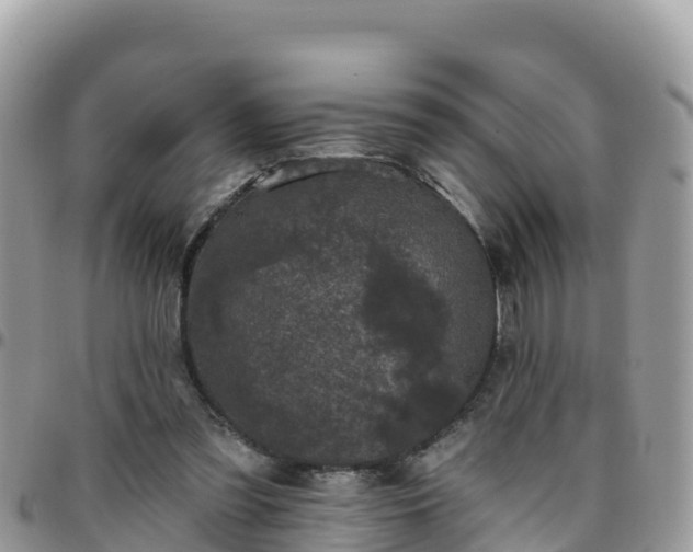 X0000095920301200801181423