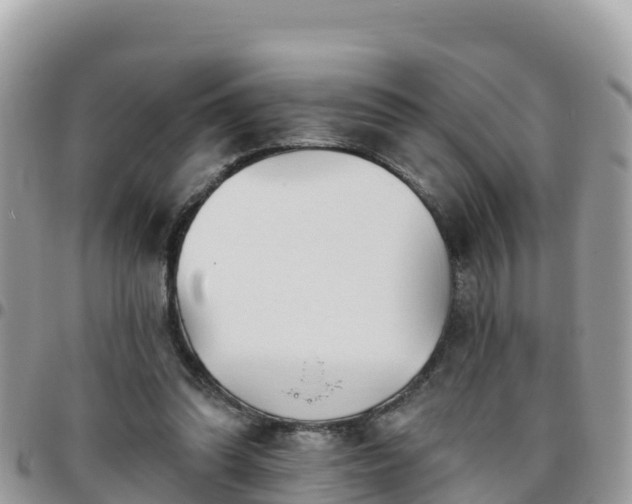 X0000095920302200801181423