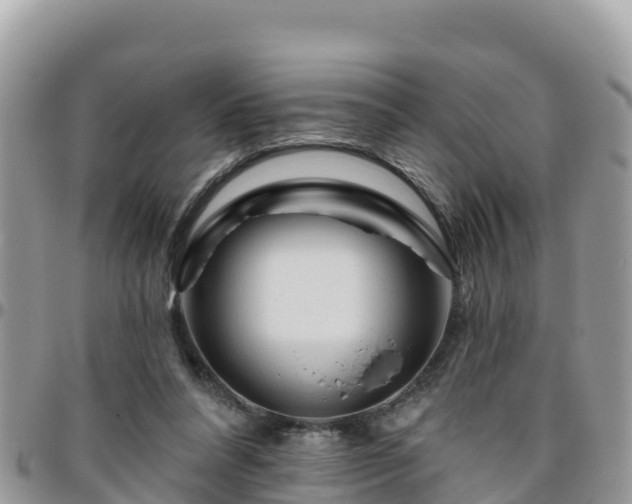 X0000095920304200801181423