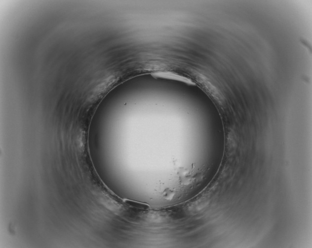 X0000095920305200801181423