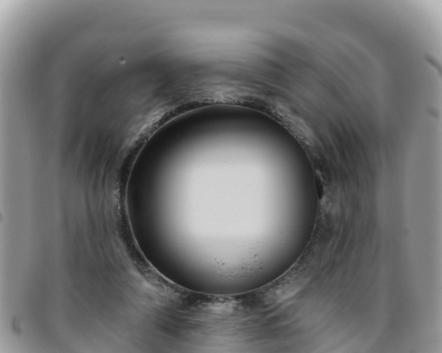 X0000095920306200801181423