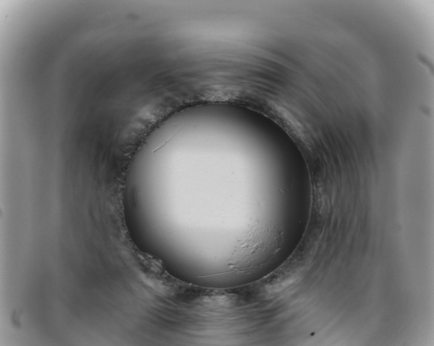 X0000095920307200801181423