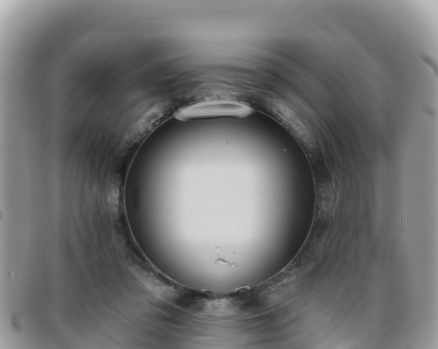 X0000095920309200801181423