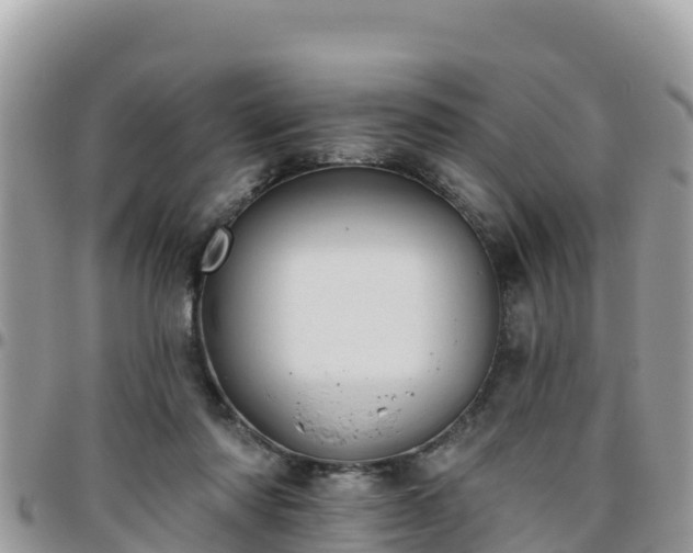 X0000095920310200801181423