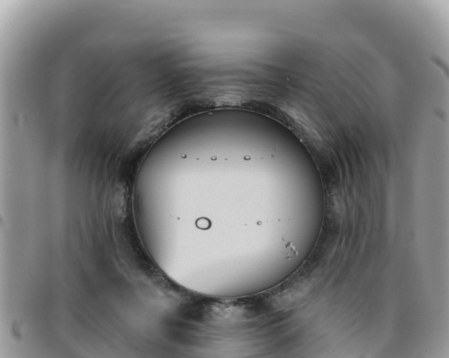 X0000095920311200801181423