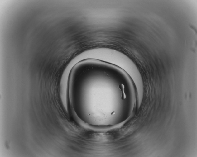 X0000095920316200801181423