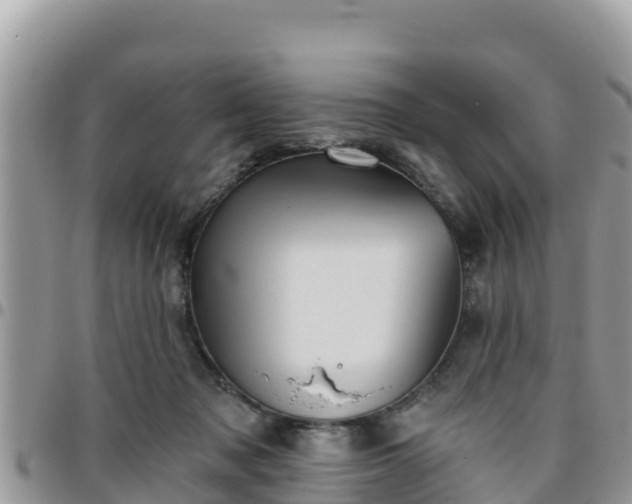 X0000095920317200801181423