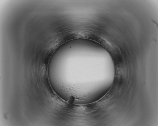 X0000095920318200801181423