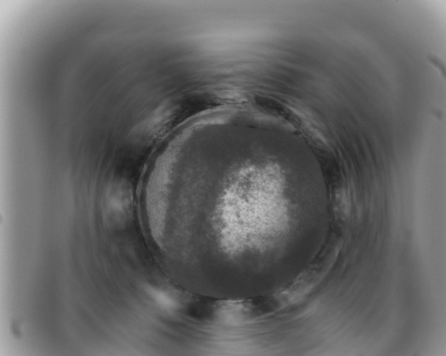 X0000095920320200801181423