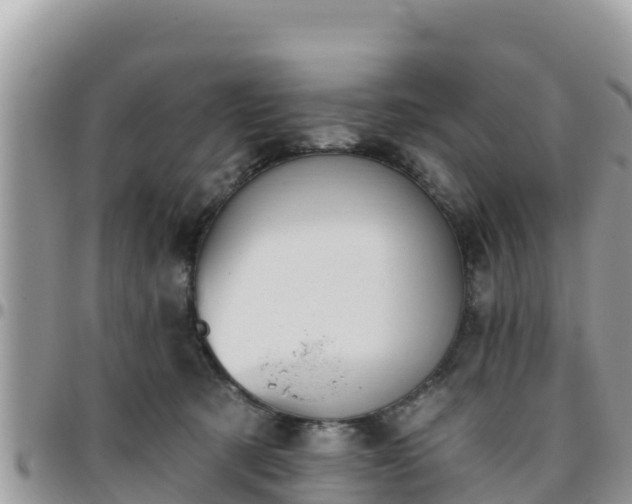 X0000095920321200801181423