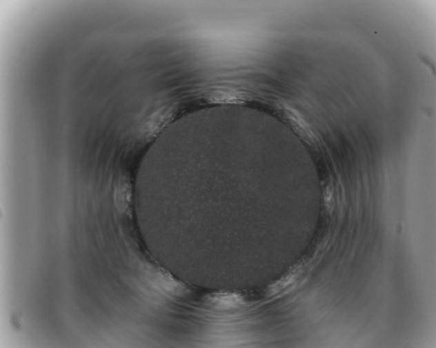 X0000095920322200801181423