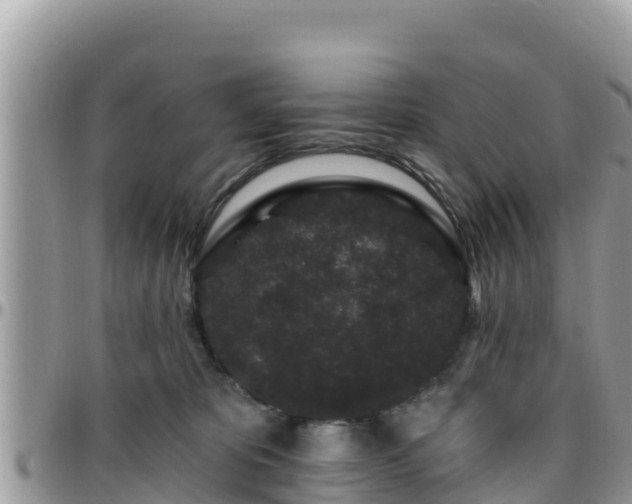 X0000095920325200801181423