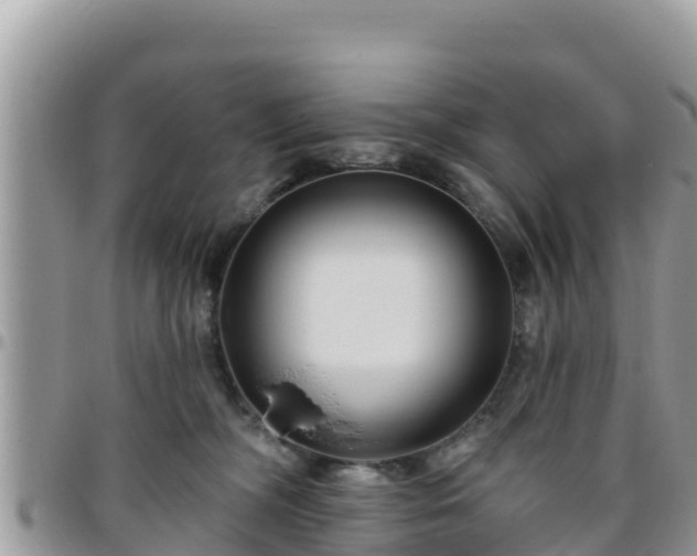 X0000095920326200801181423