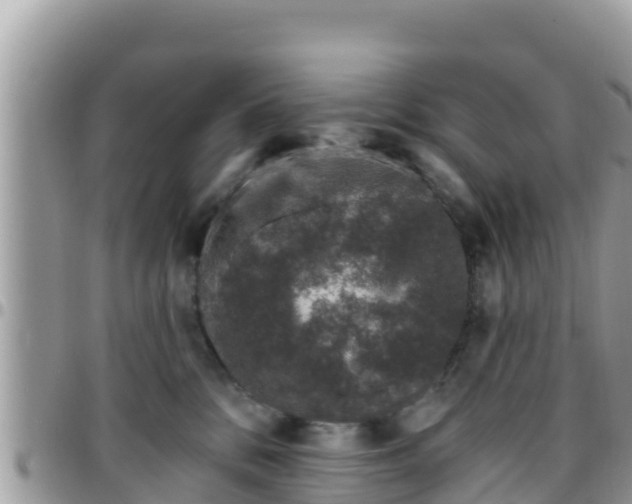 X0000095920328200801181423