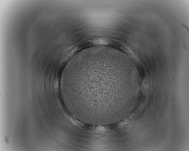 X0000095920330200801181423