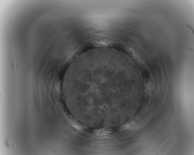 X0000095920331200801181423