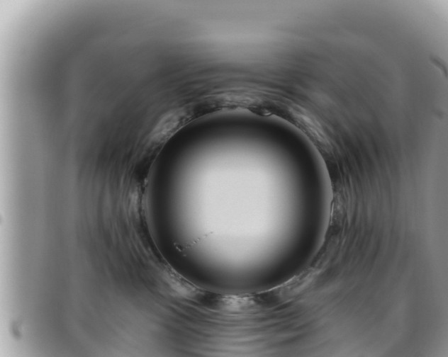 X0000095920333200801181423