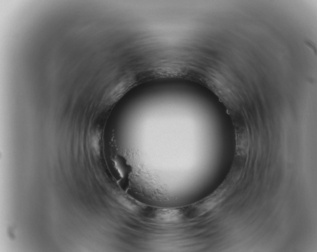 X0000095920334200801181423