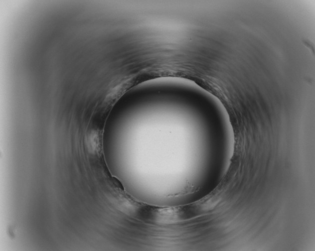 X0000095920335200801181423