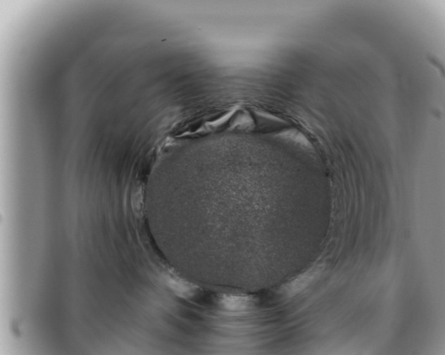 X0000095920336200801181423