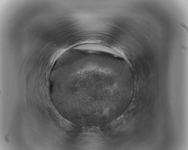 X0000095920337200801181422