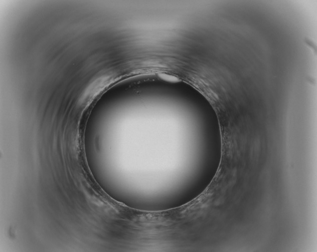 X0000095920338200801181422