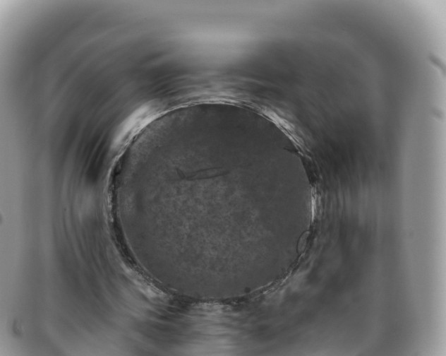 X0000095920339200801181422