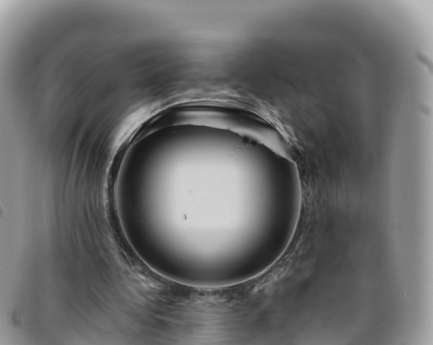 X0000095920340200801181422